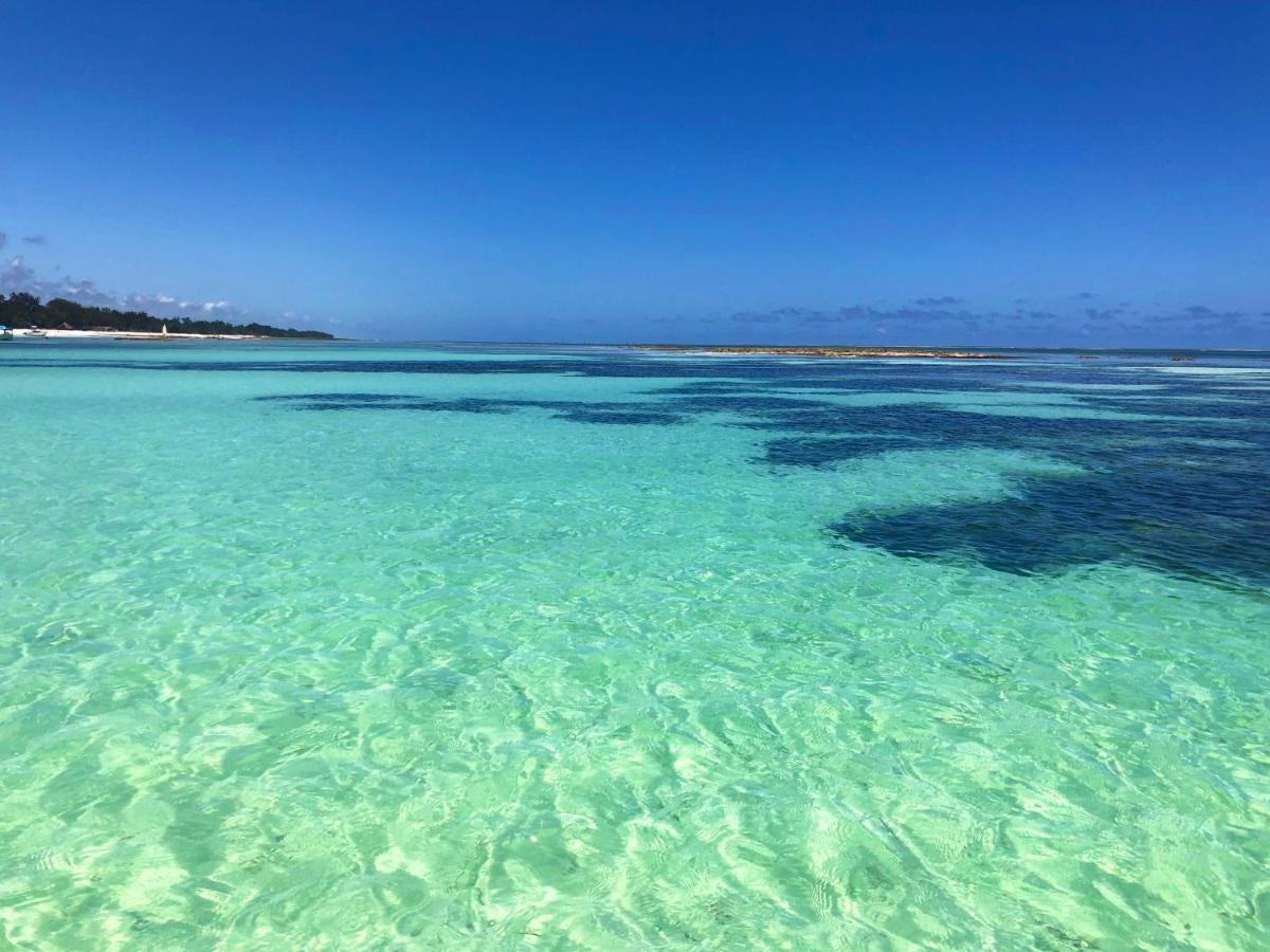 Diani-Paradise-Villas เดียนีบีช ภายนอก รูปภาพ